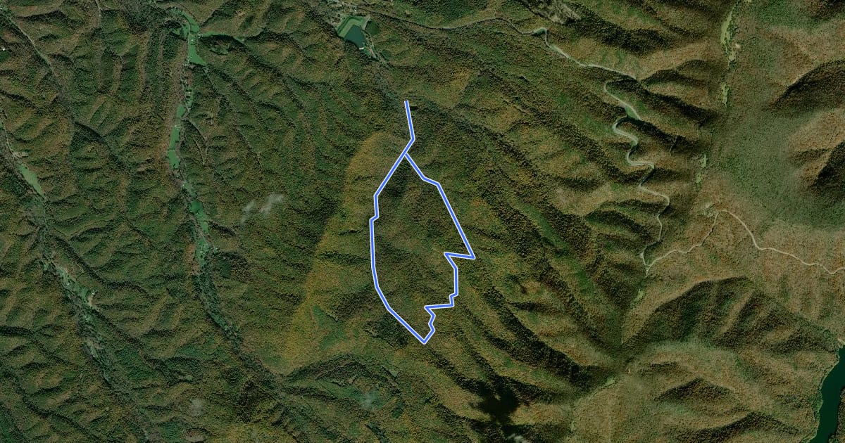 Маршрут Saw Mill Trail на спутниковом снимке