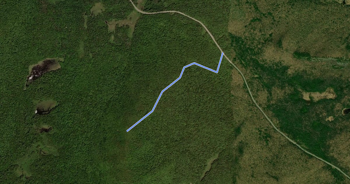 Маршрут Sawyer Mountain Trail на спутниковом снимке