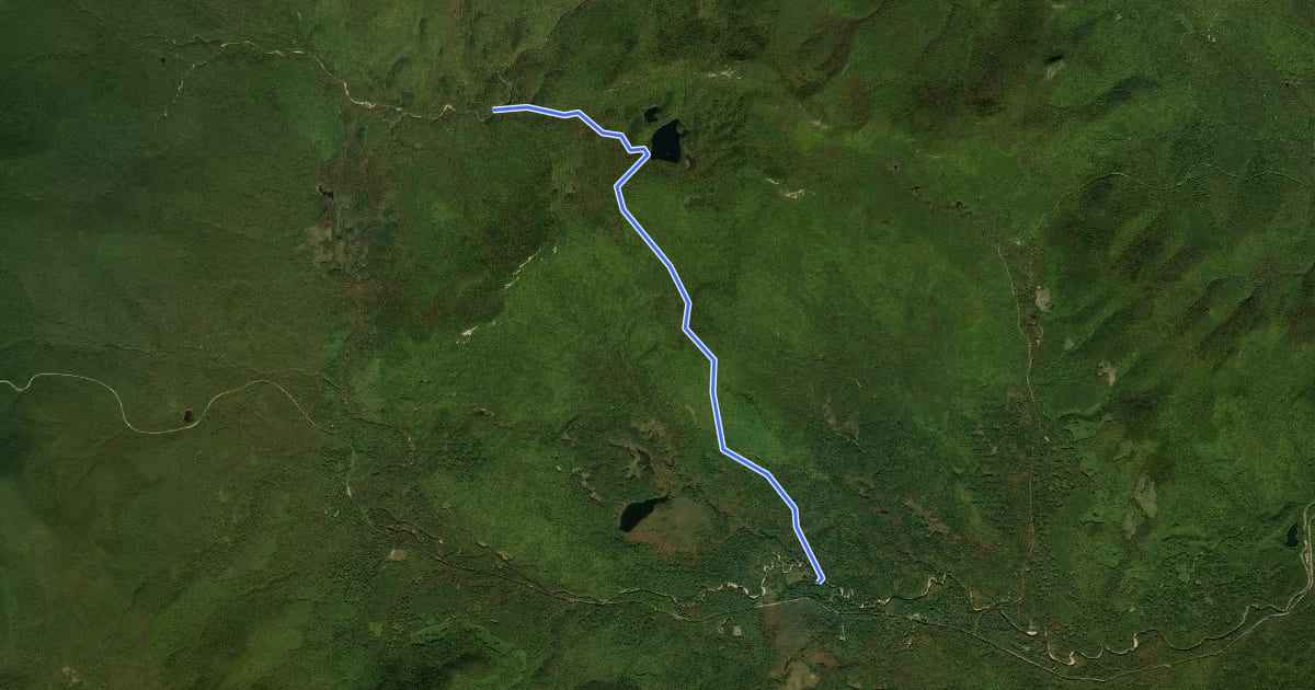 Маршрут Sawyer Pond Trail на спутниковом снимке
