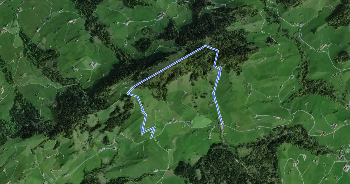 Маршрут Schönau-Berggasthaus Hochhamm-Parkplatz Hochhamm на спутниковом снимке