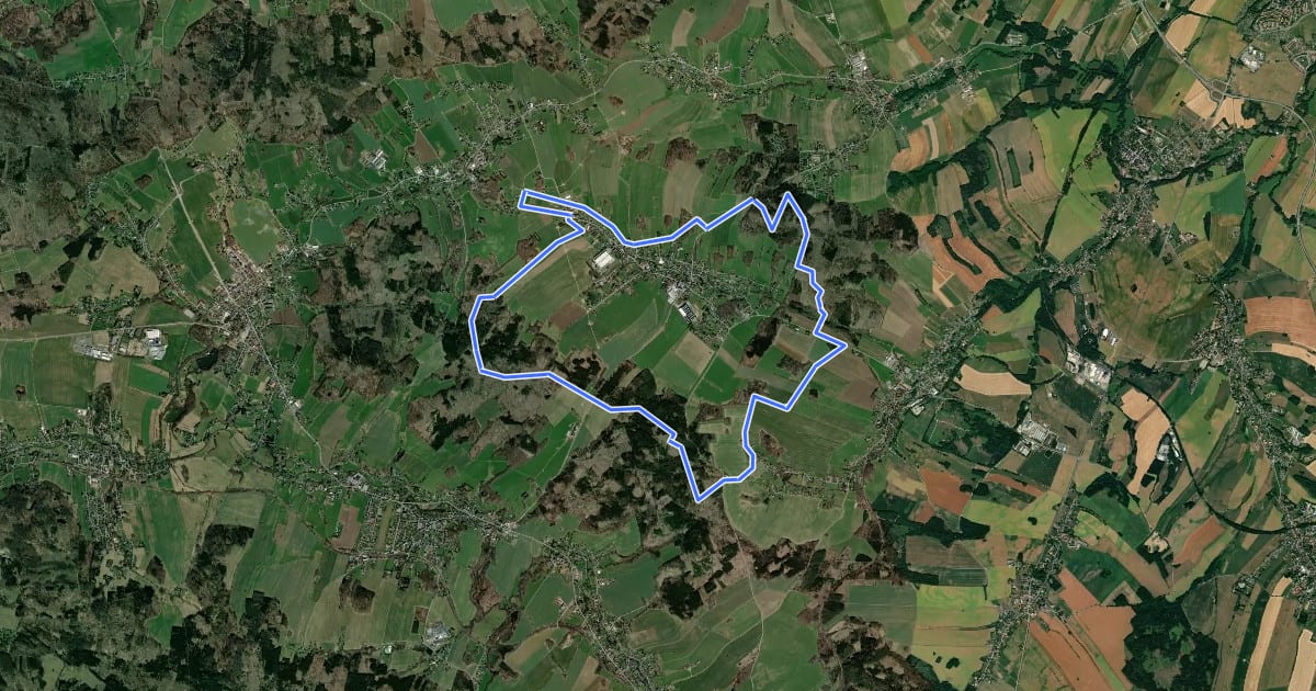 Маршрут Schönbacher Ringwanderweg на спутниковом снимке