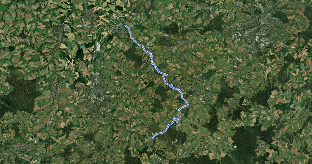 Маршрут Schönburger Raweg ( Mulde–Lichtenstein–Glauchau) на спутниковом снимке