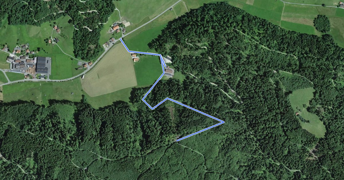 Маршрут Schönenbodenwald - Neuhus на спутниковом снимке