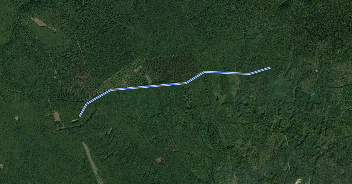 Маршрут Schöner Jäger - Gscheidkreuz (Leithagebirge) на спутниковом снимке