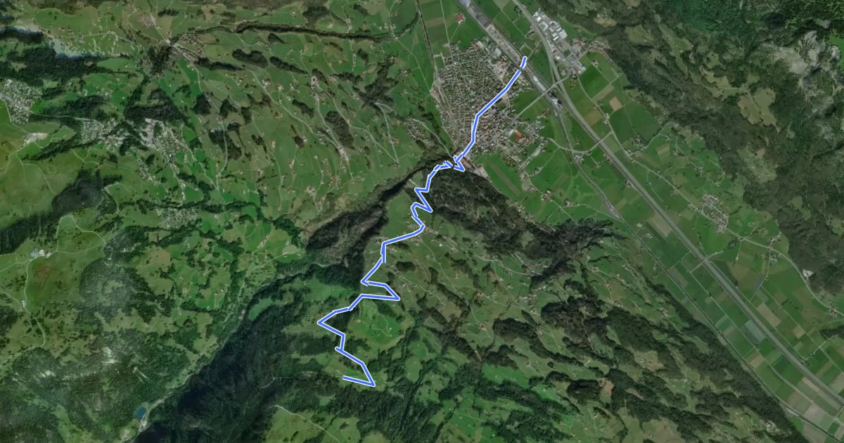 Маршрут Schönhalden Flums на спутниковом снимке