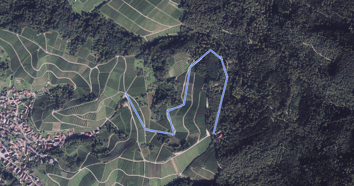 Маршрут Schönstatt Kapelle - Wolfsgrube на спутниковом снимке