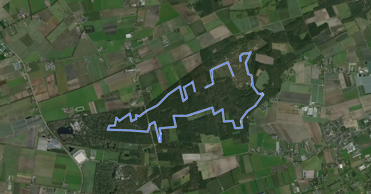 Маршрут Schadijkse Bossen Route на спутниковом снимке