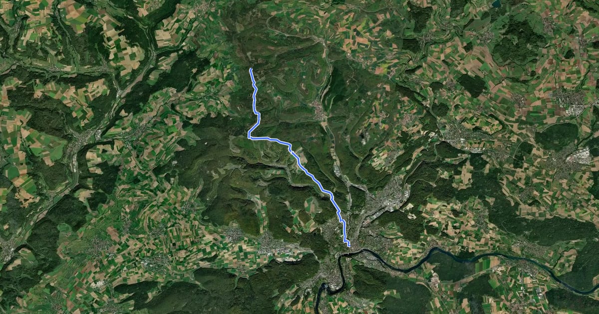 Маршрут Schaffhauser-Zürcher-Weg на спутниковом снимке