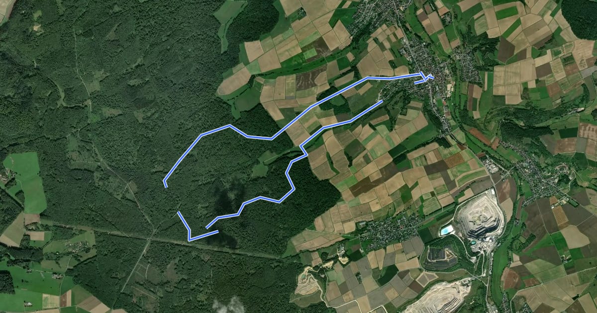 Маршрут Schafweg на спутниковом снимке