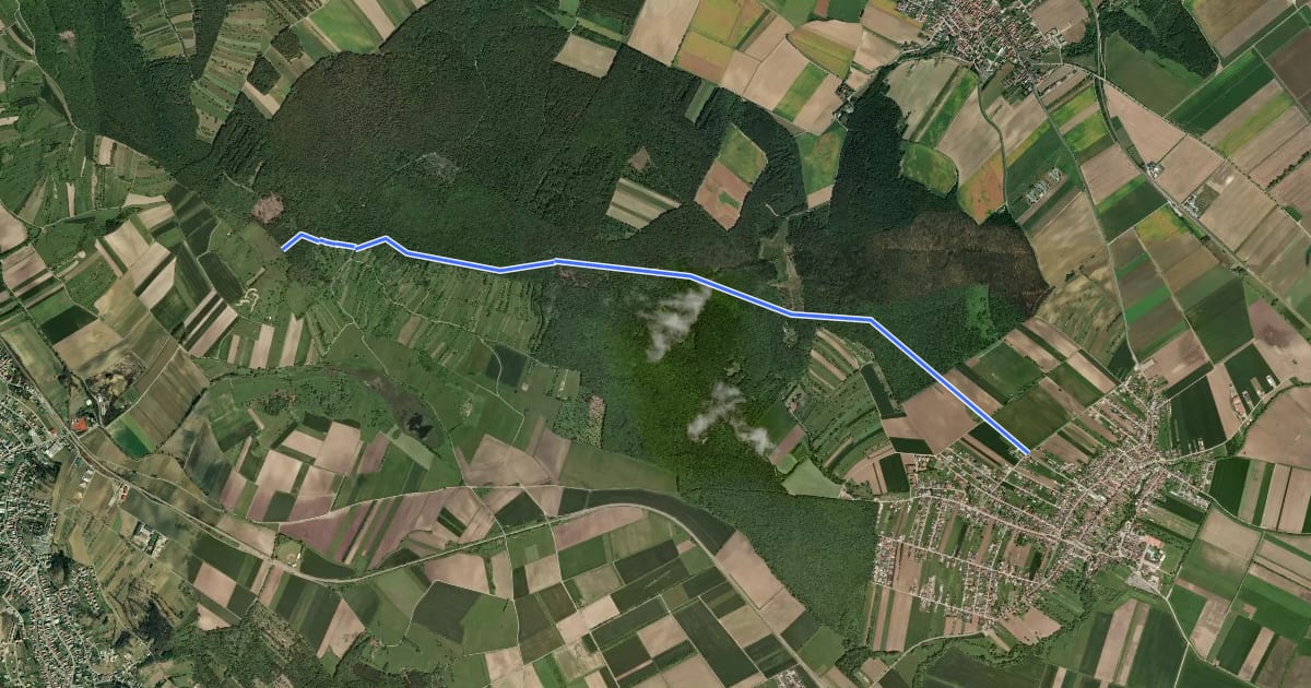 Маршрут Schattendorf - Kogel (Nordic Walking) на спутниковом снимке
