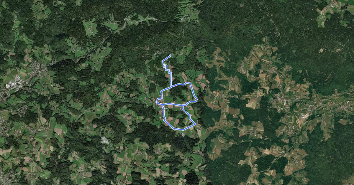 Маршрут Schauflinger Rundwanderweg Nr. 17 на спутниковом снимке