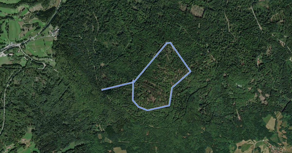 Маршрут Schauflinger Rundwanderweg Nr. 5 на спутниковом снимке
