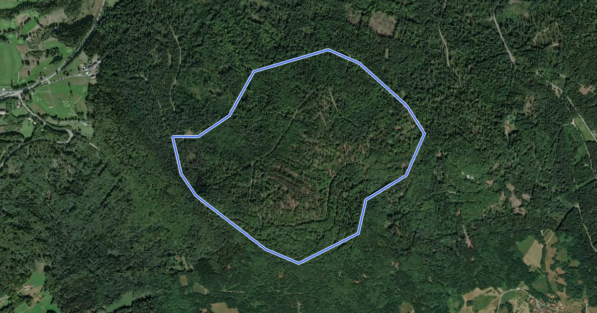 Маршрут Schauflinger Rundwanderweg Nr. 5a на спутниковом снимке