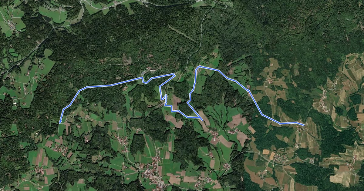 Маршрут Schauflinger Zielwanderweg Nr. 7 на спутниковом снимке