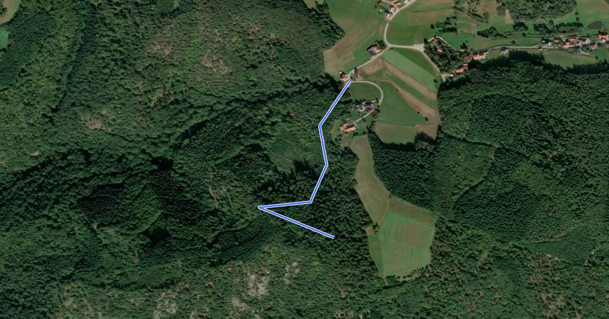Маршрут Scheibenhof-Dürnstein über Starhembergwarte (grün) на спутниковом снимке