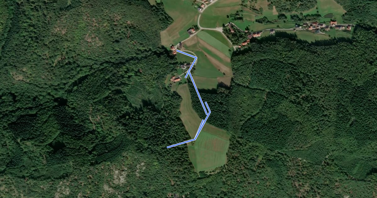 Маршрут Scheibenhof-Dürnstein über Vogelbergsteig (rot) на спутниковом снимке