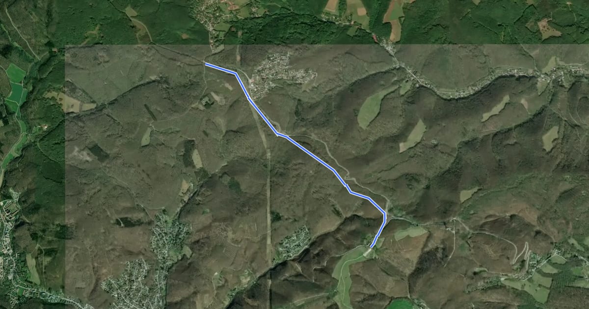Маршрут Scheiblingstein-Trail на спутниковом снимке