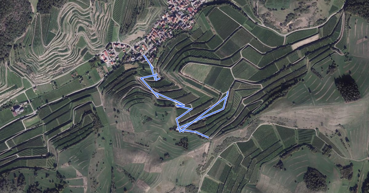 Маршрут Schelingen Allmendgasse - Schelinger Kreuz на спутниковом снимке