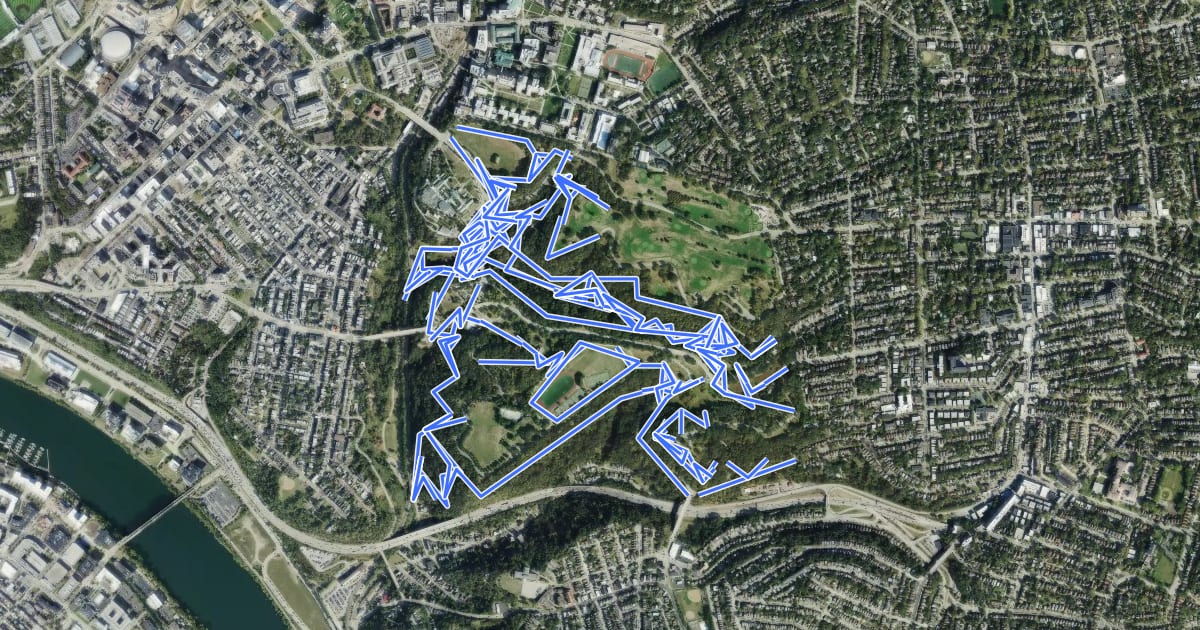 Маршрут Scheneley Park Hiking на спутниковом снимке