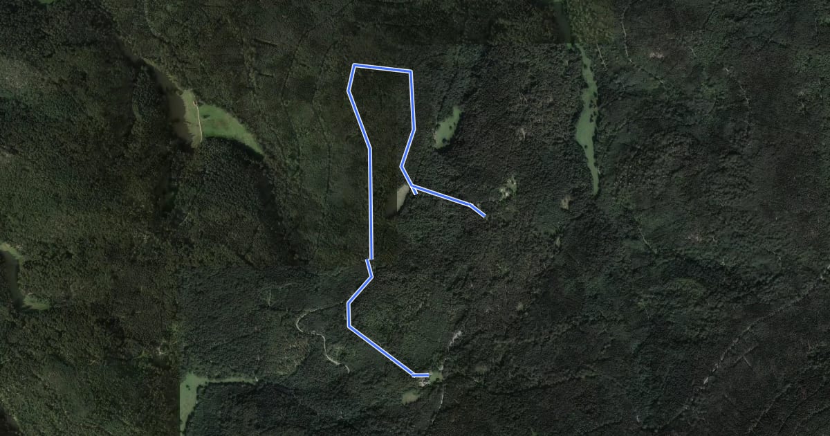 Маршрут Scherrhaldenkopf - Scherrhof на спутниковом снимке