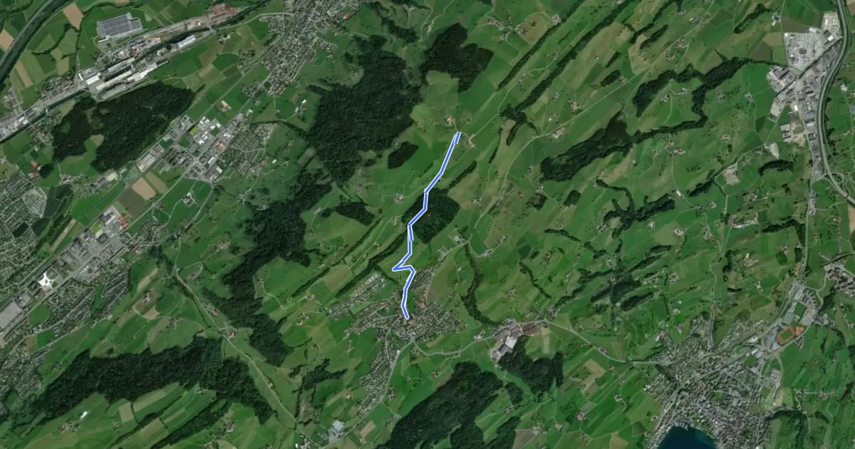 Маршрут Schiffmannshof-Udligenswil на спутниковом снимке