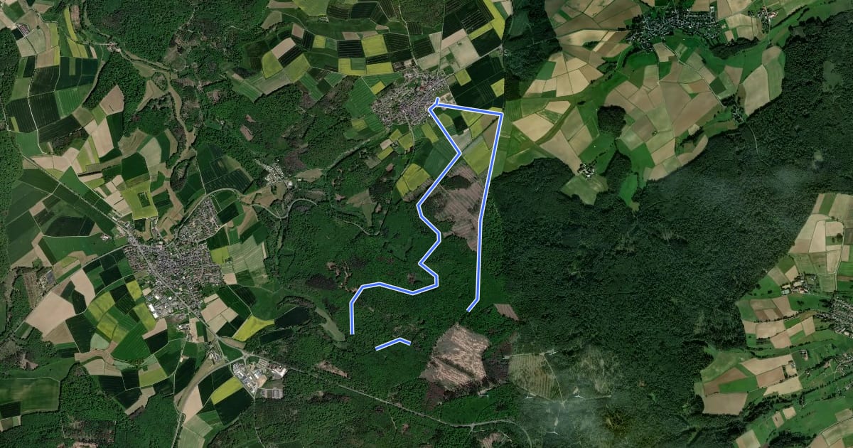 Маршрут Schinder-Trail Backyard-Runde на спутниковом снимке