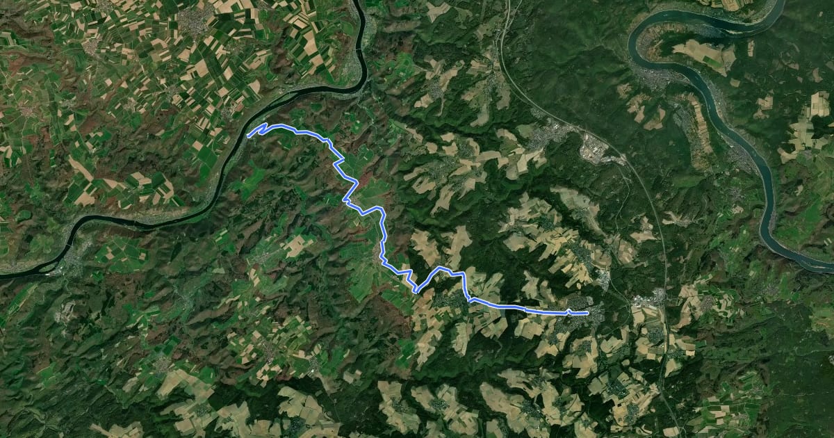 Маршрут Schinderhannes Untermosel Radweg на спутниковом снимке