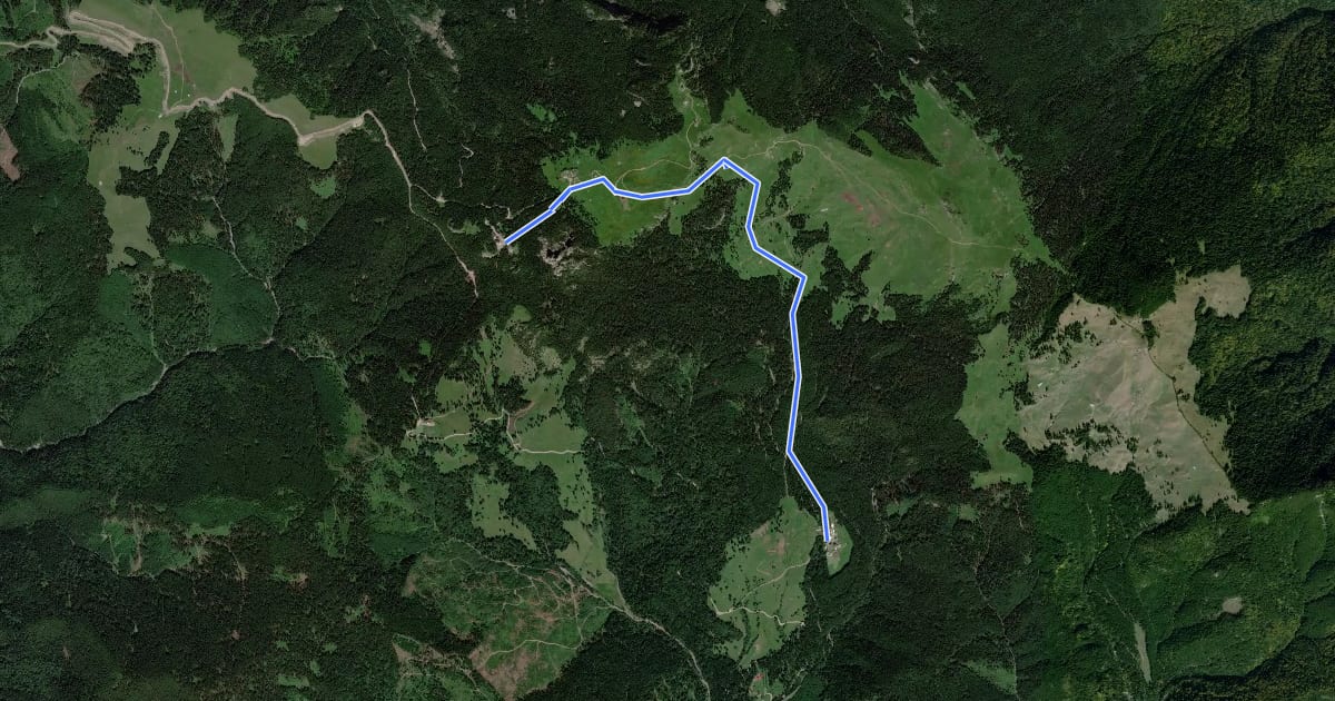 Маршрут Schitul Rarău – Hotel Rarău (yellow triangle) на спутниковом снимке