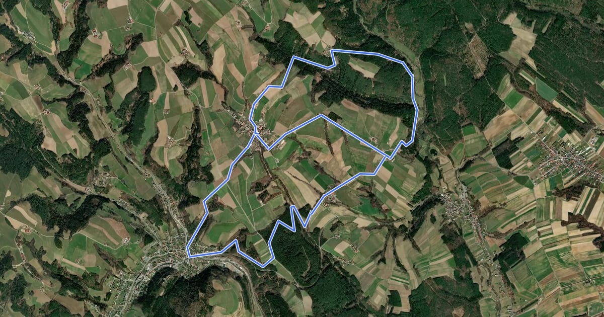 Маршрут Schlagmichlweg (Rundwanderweg) на спутниковом снимке