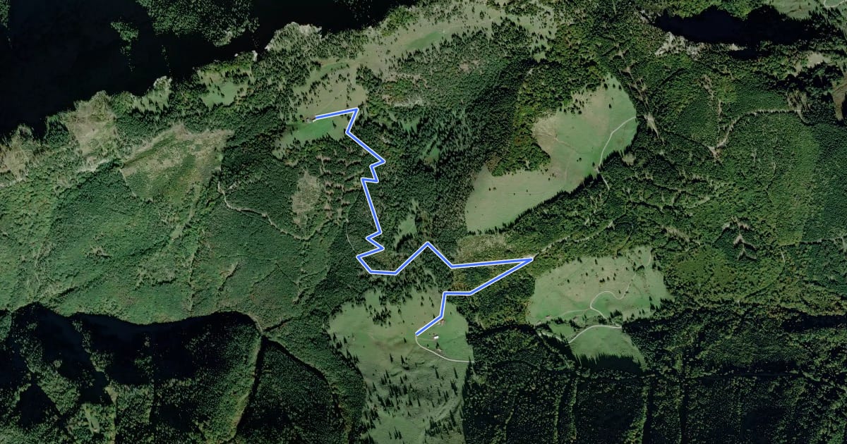 Маршрут Schlechinger Wanderweg 68 на спутниковом снимке