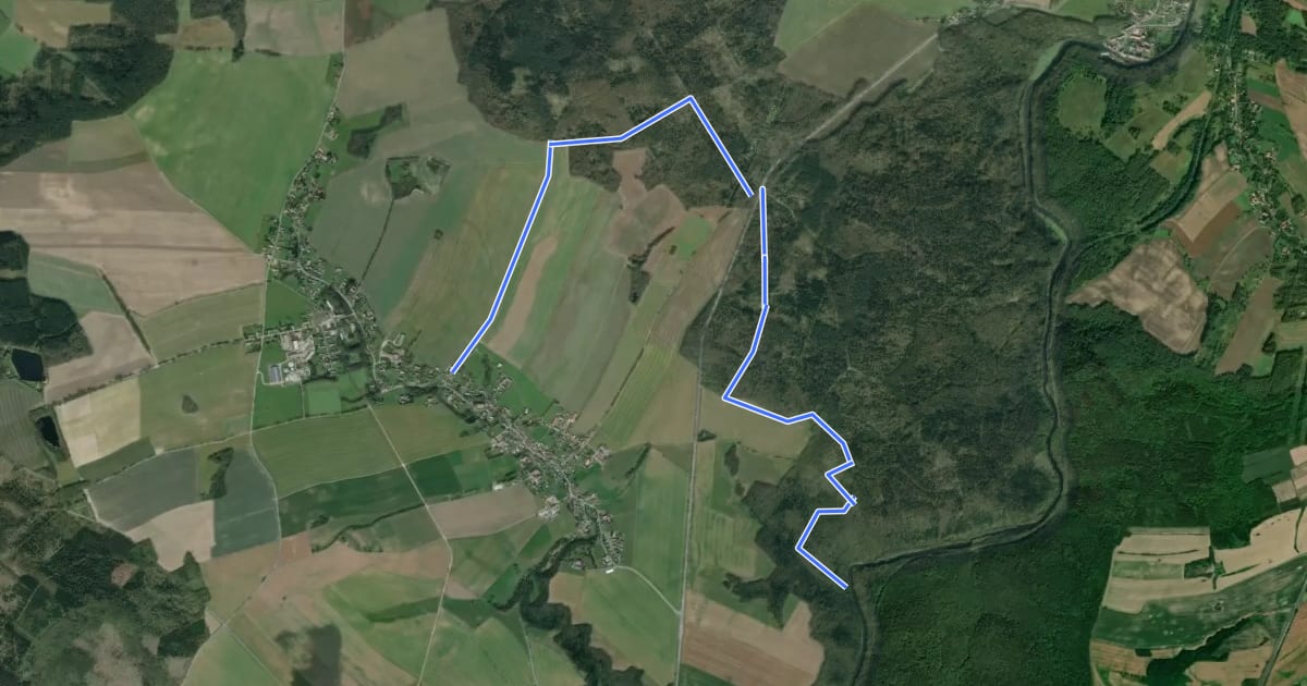 Маршрут Schlegel - Klosterwald (gelber Strich) на спутниковом снимке