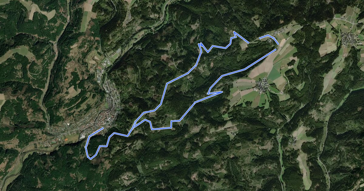 Маршрут Schlegelshaider Höhenweg RT 23 на спутниковом снимке