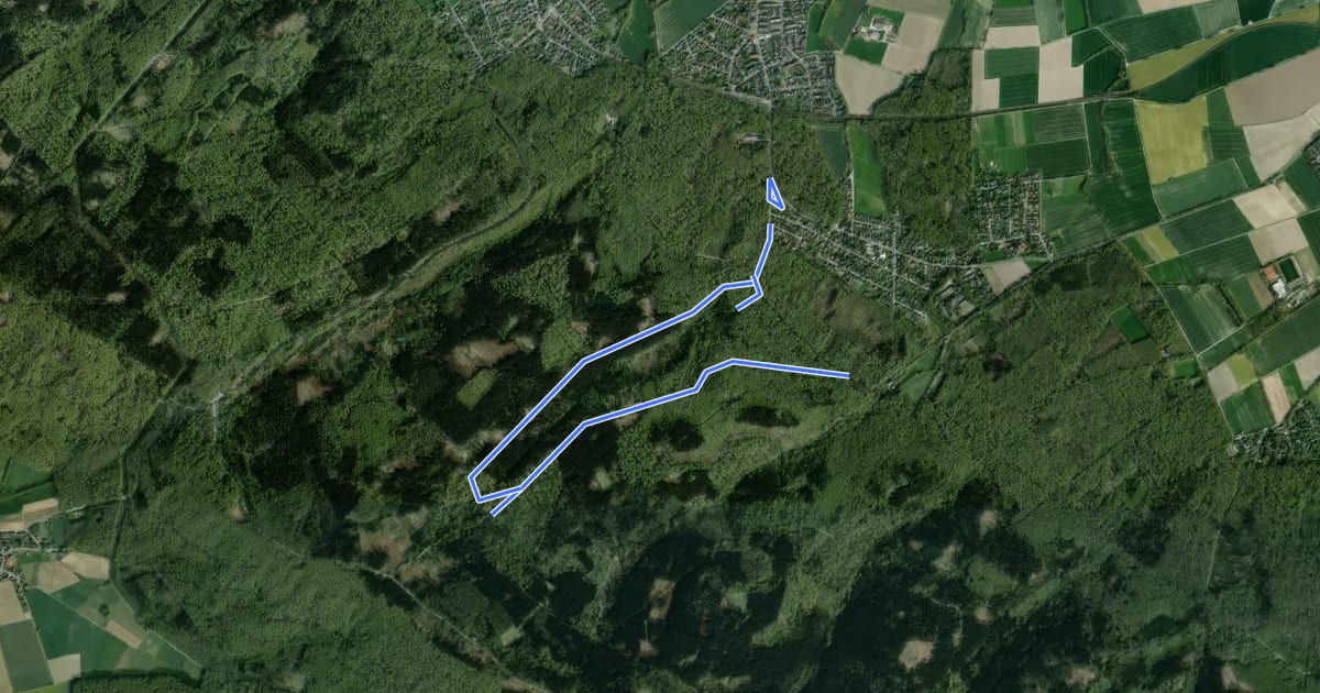 Маршрут Schleifbachtal-Rundweg на спутниковом снимке