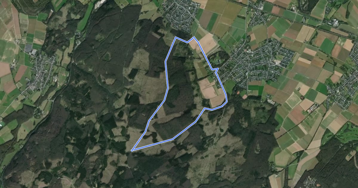 Маршрут Schlich Rundweg 51 на спутниковом снимке