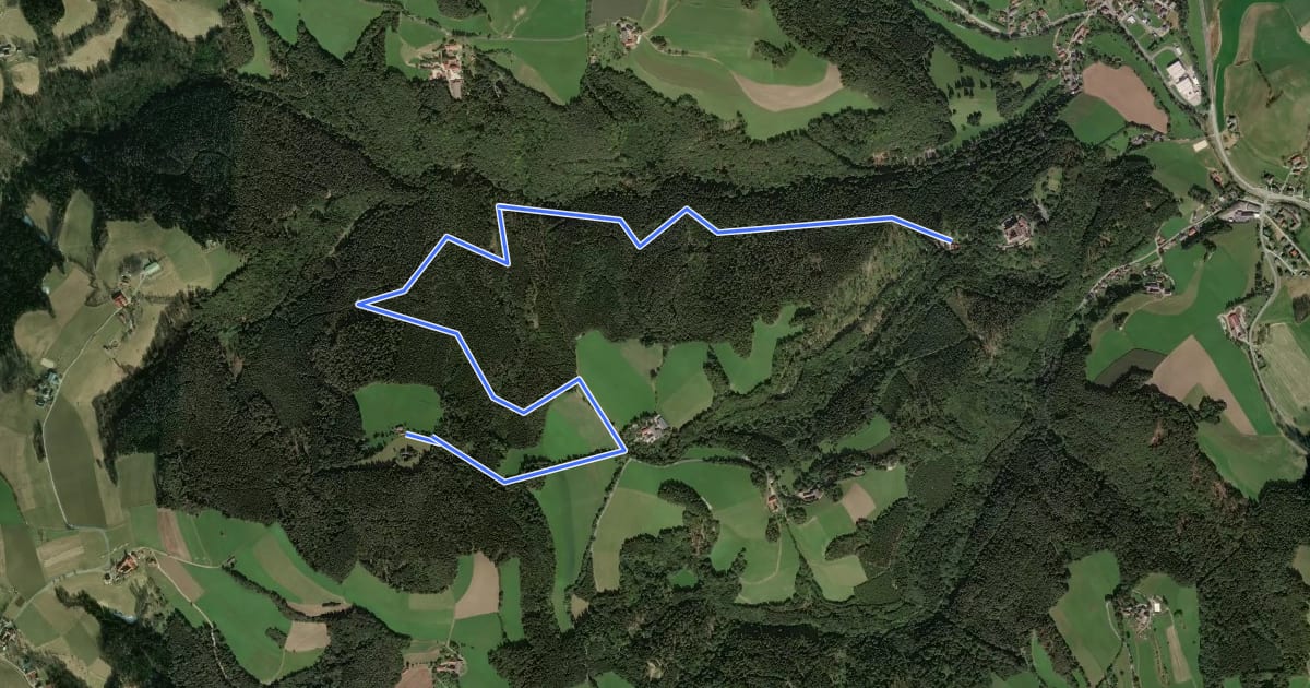 Маршрут Schloß Krumbach - Hochhalt - Steinkreis на спутниковом снимке