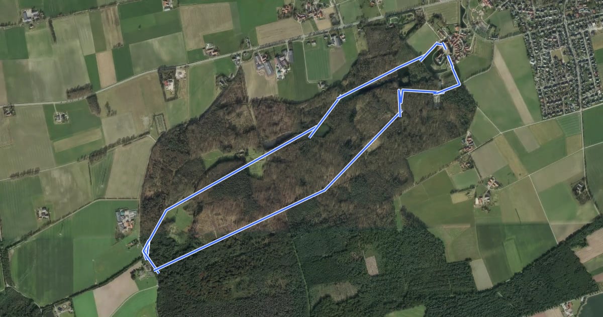 Маршрут Schloß Raesfeld Rundweg A1 на спутниковом снимке