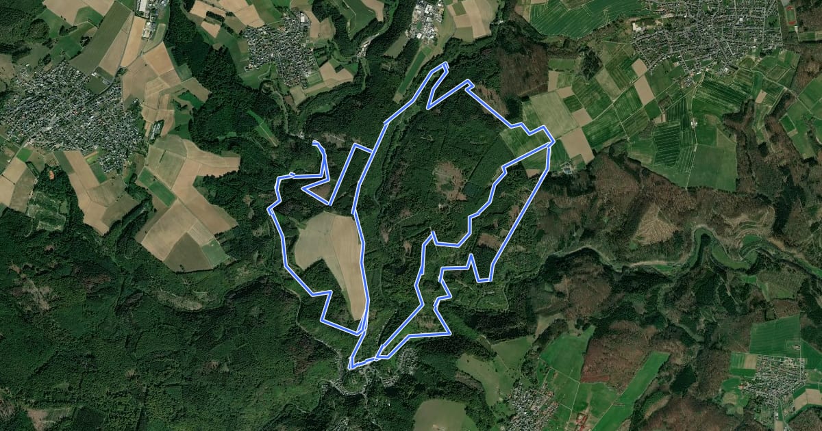 Маршрут Schloss Sayneck, Wald und Flur на спутниковом снимке