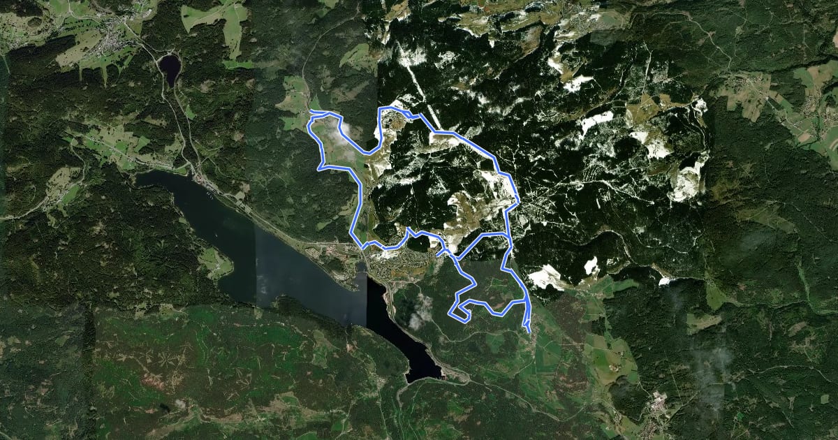 Маршрут Schluchsee Skiwanderweg на спутниковом снимке