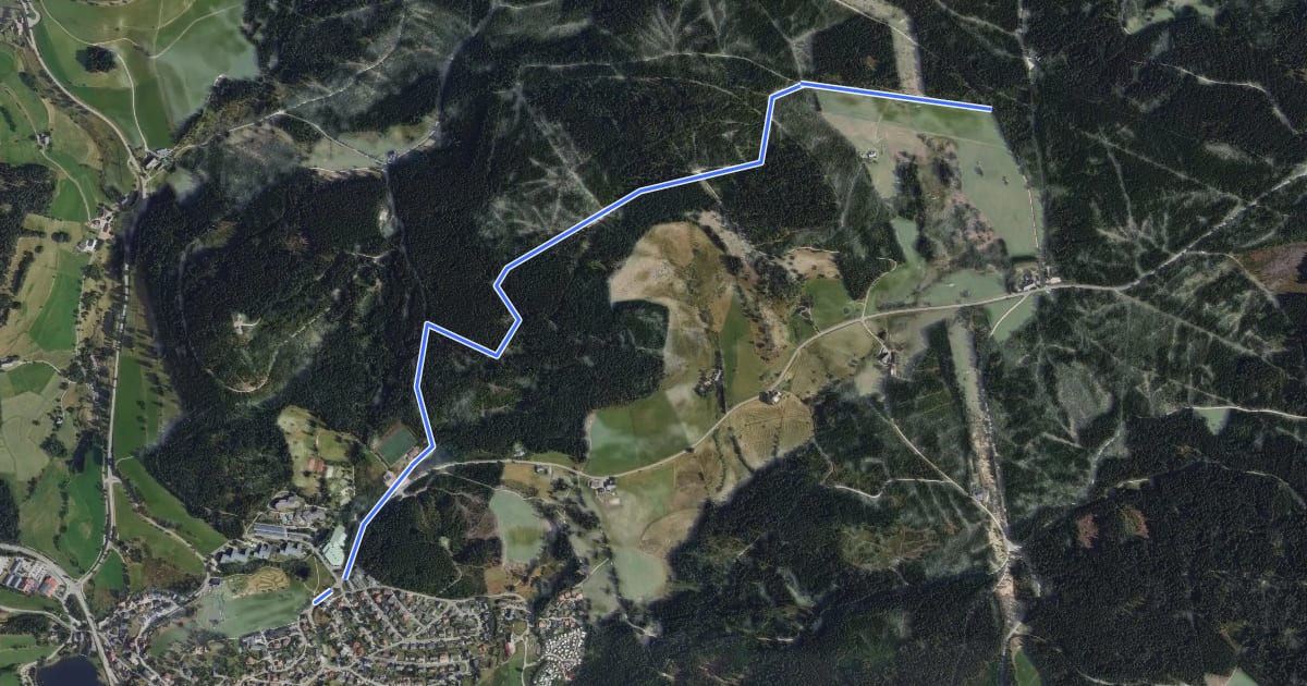 Маршрут Schluchsee Sonnhalde - Vogelhausweg на спутниковом снимке