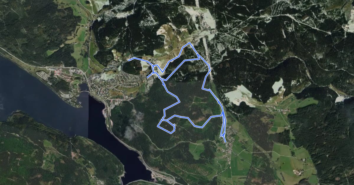 Маршрут Schluchsee-Spur на спутниковом снимке