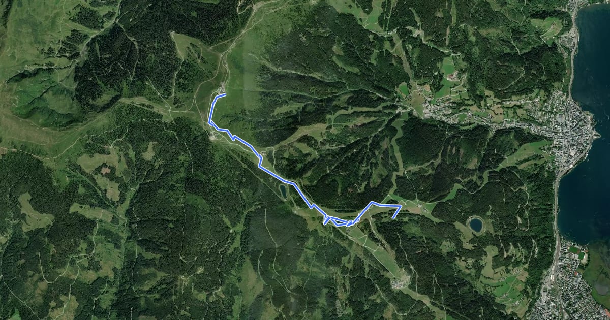 Маршрут Schmittenweg на спутниковом снимке