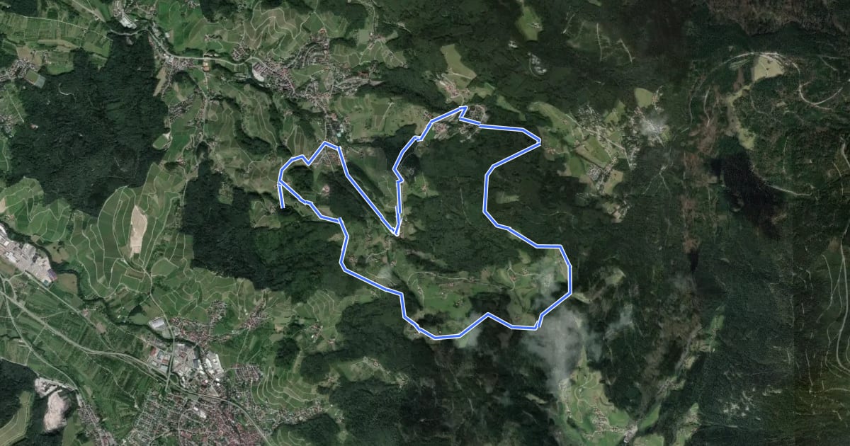 Маршрут Schnapsbrunnenweg 2 на спутниковом снимке