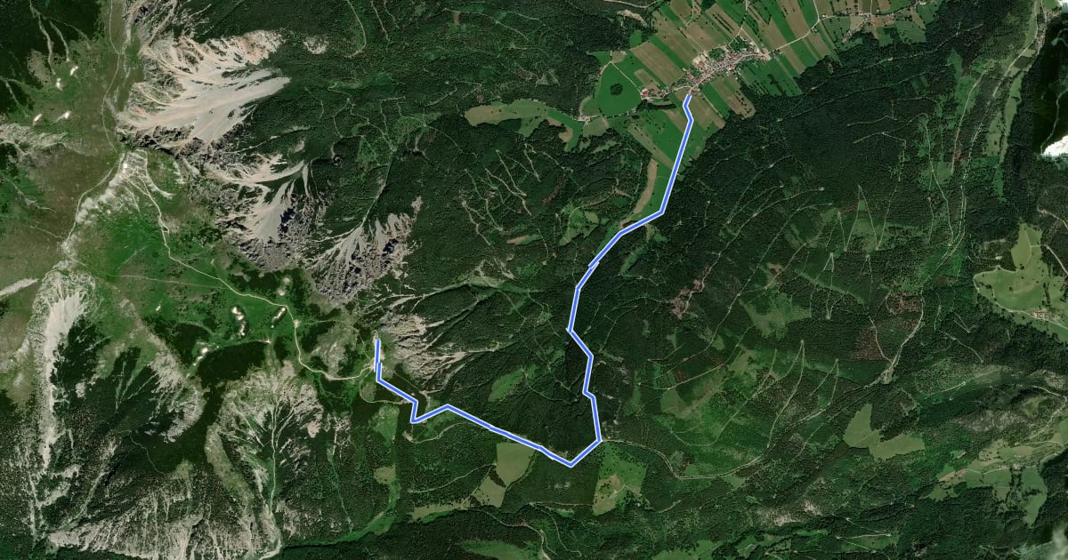 Маршрут Schneebergdörfl - Mieseltal - Hst. Baumgarten - Damböcksteig - Hst. Bergstation на спутниковом снимке