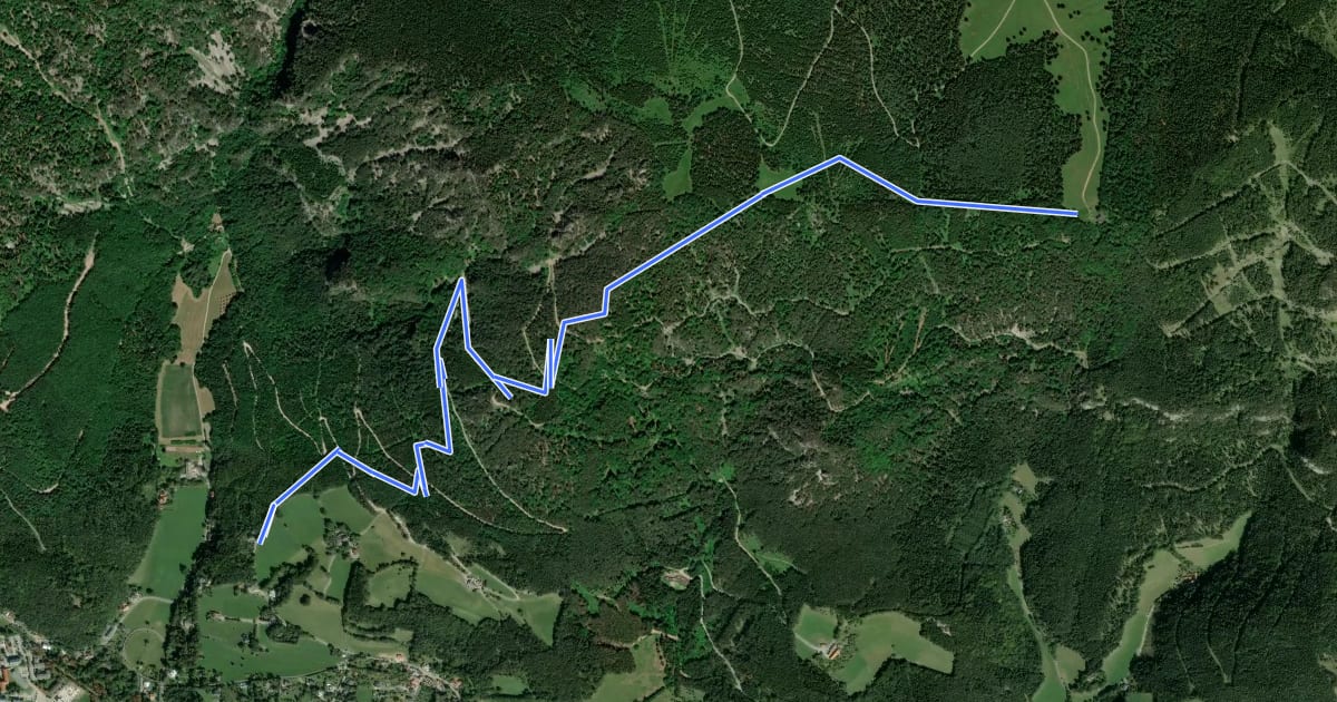 Маршрут Schneedörfl - Waldburgangerhütte на спутниковом снимке