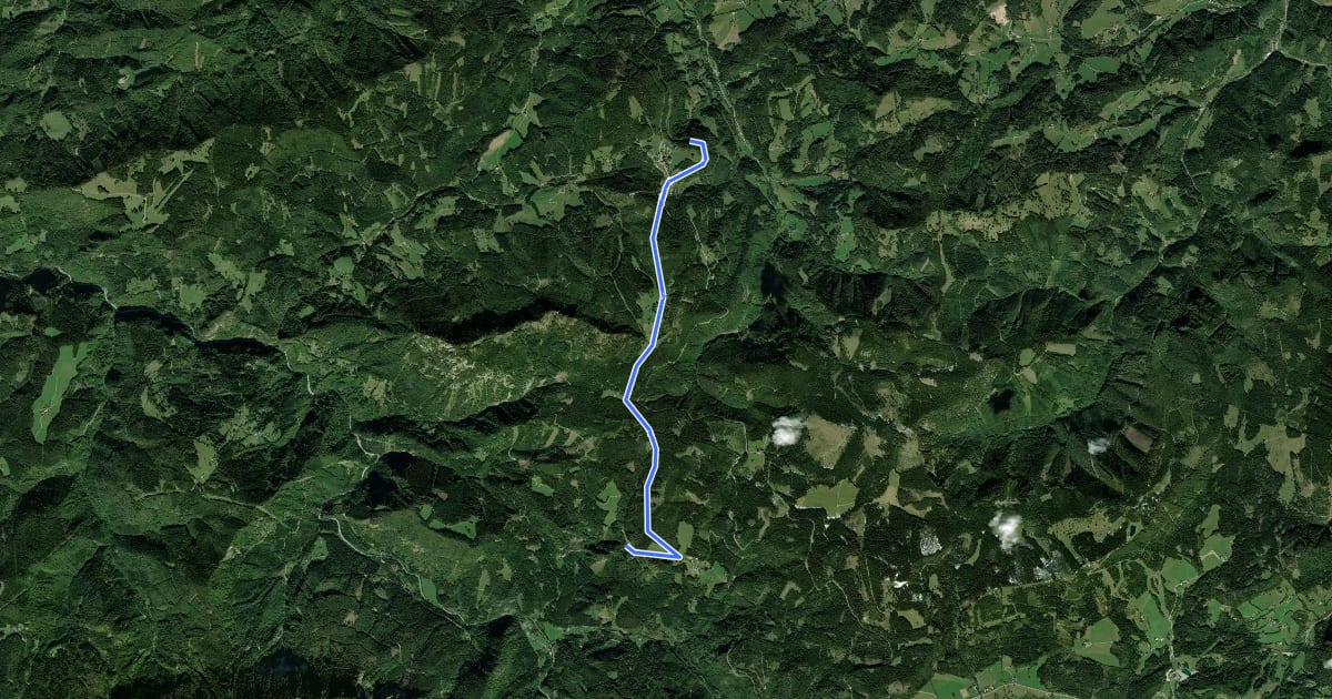 Маршрут Schneeschuhwanderweg Mariazellerbahn на спутниковом снимке