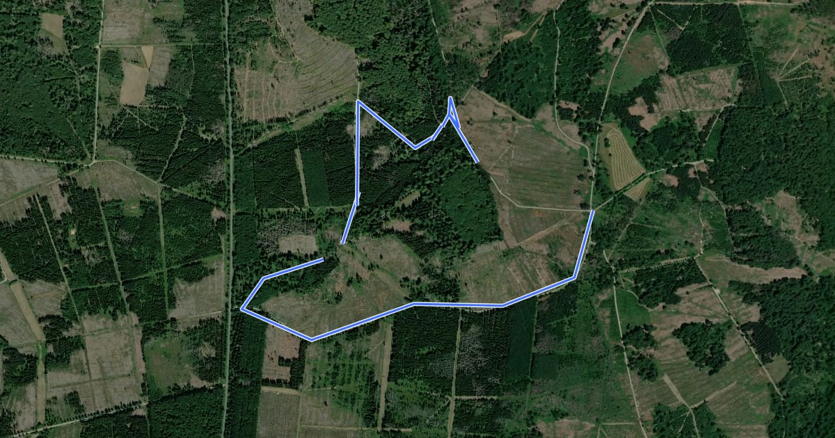 Маршрут Schneidersbaum, Rundweg 6 на спутниковом снимке