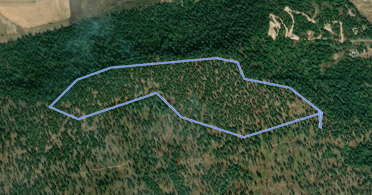 Маршрут Schoeffler Butte Loop на спутниковом снимке