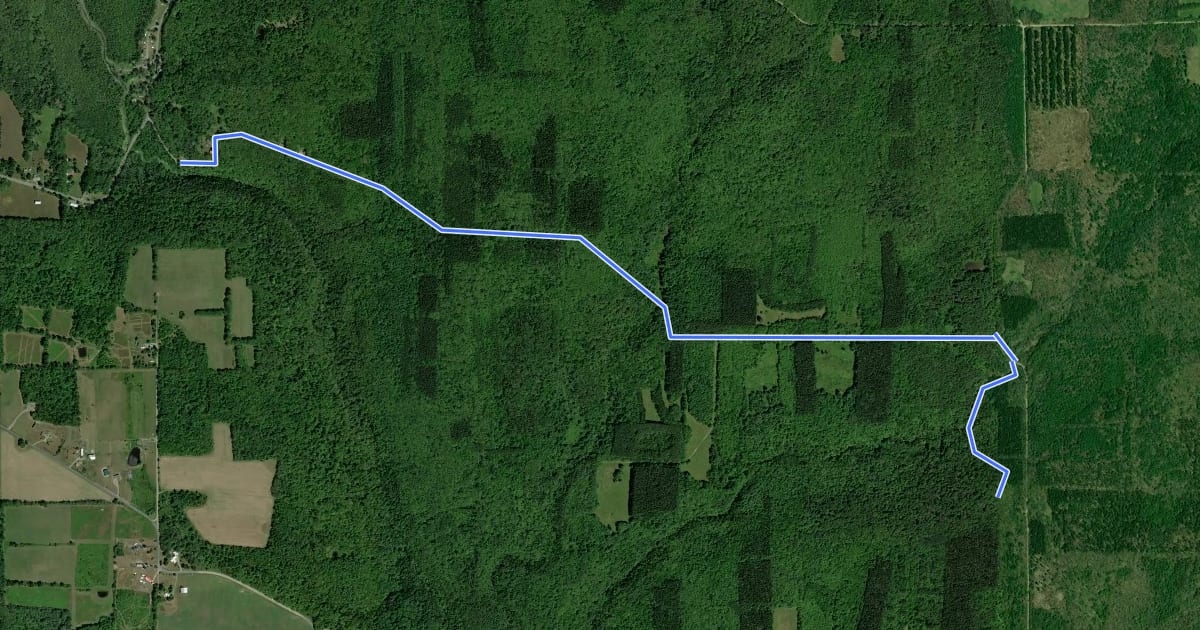 Маршрут School House Trail на спутниковом снимке