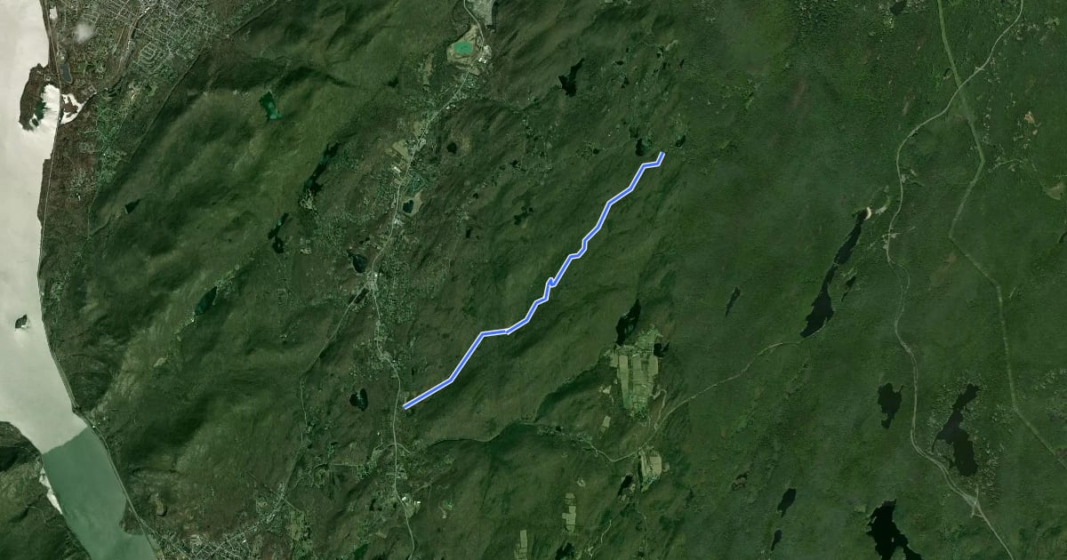 Маршрут School Mountain Trail на спутниковом снимке
