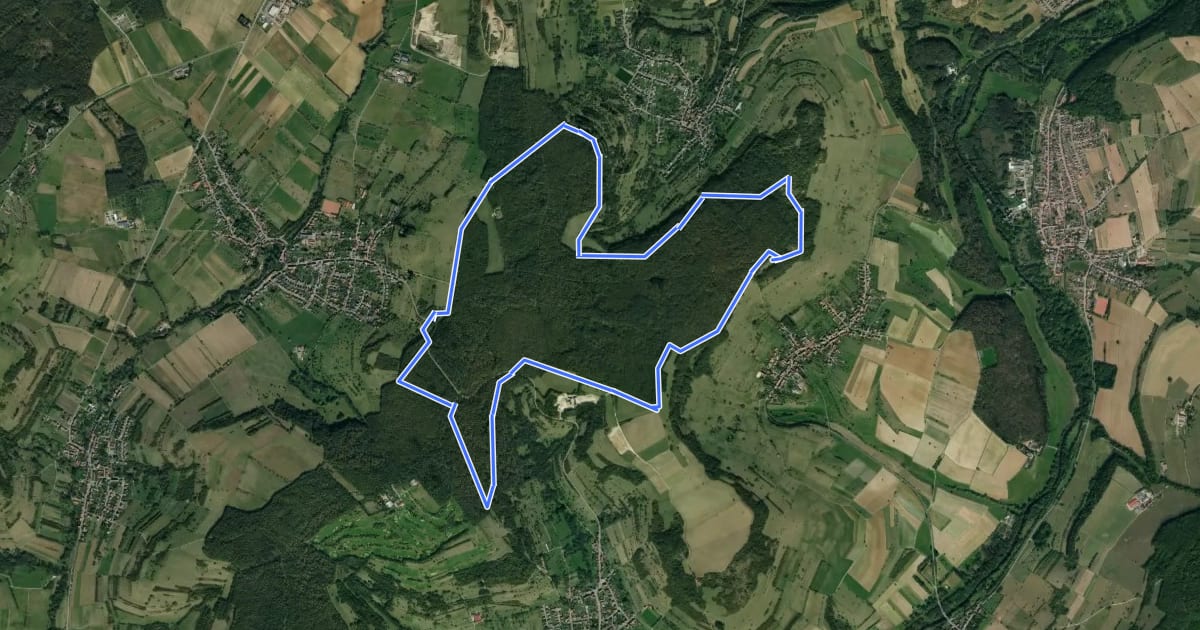 Маршрут Schornwald Runde на спутниковом снимке